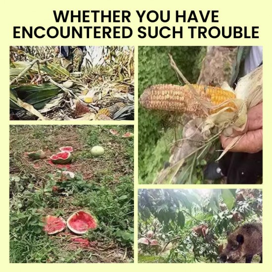 Solarbetriebene Tierabwehr-Warnlichter mit lautem Alarm